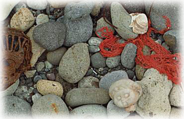波打際の石たち